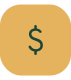 dollar sign icon